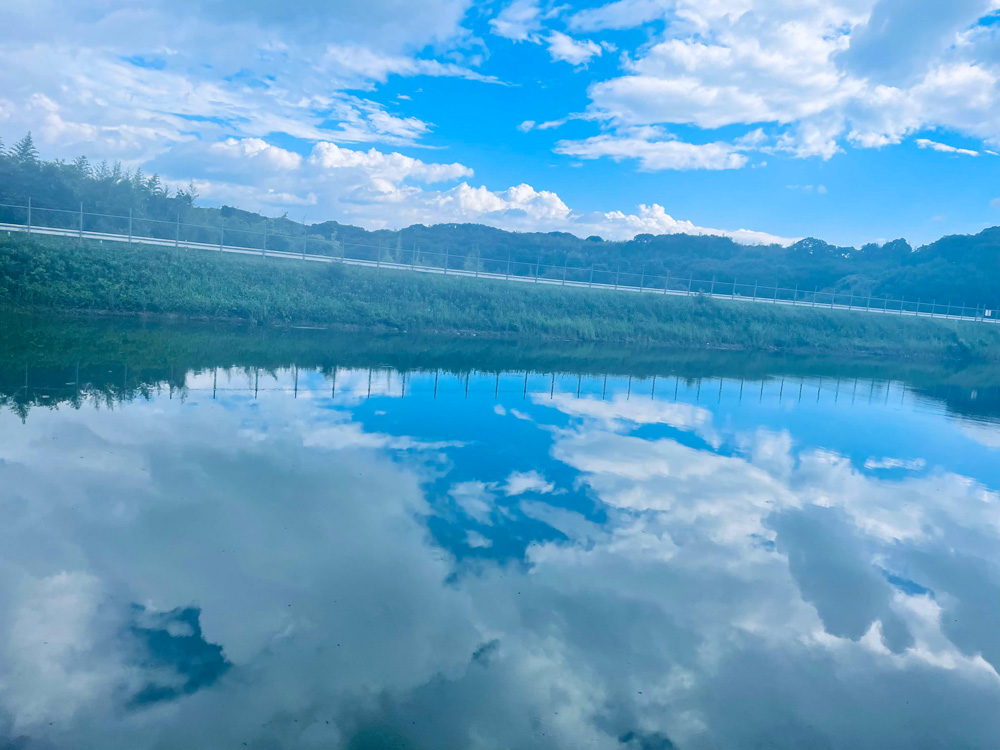 夏休み～新荒谷池～