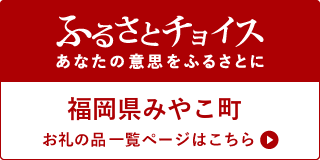 ふるさとチョイスのサイト