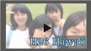 H26