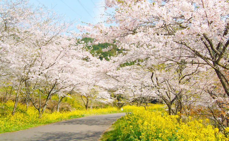 自然・公園