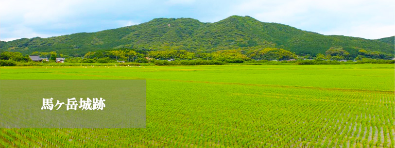 県立公園