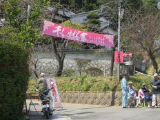 千女房桜まつり開催時