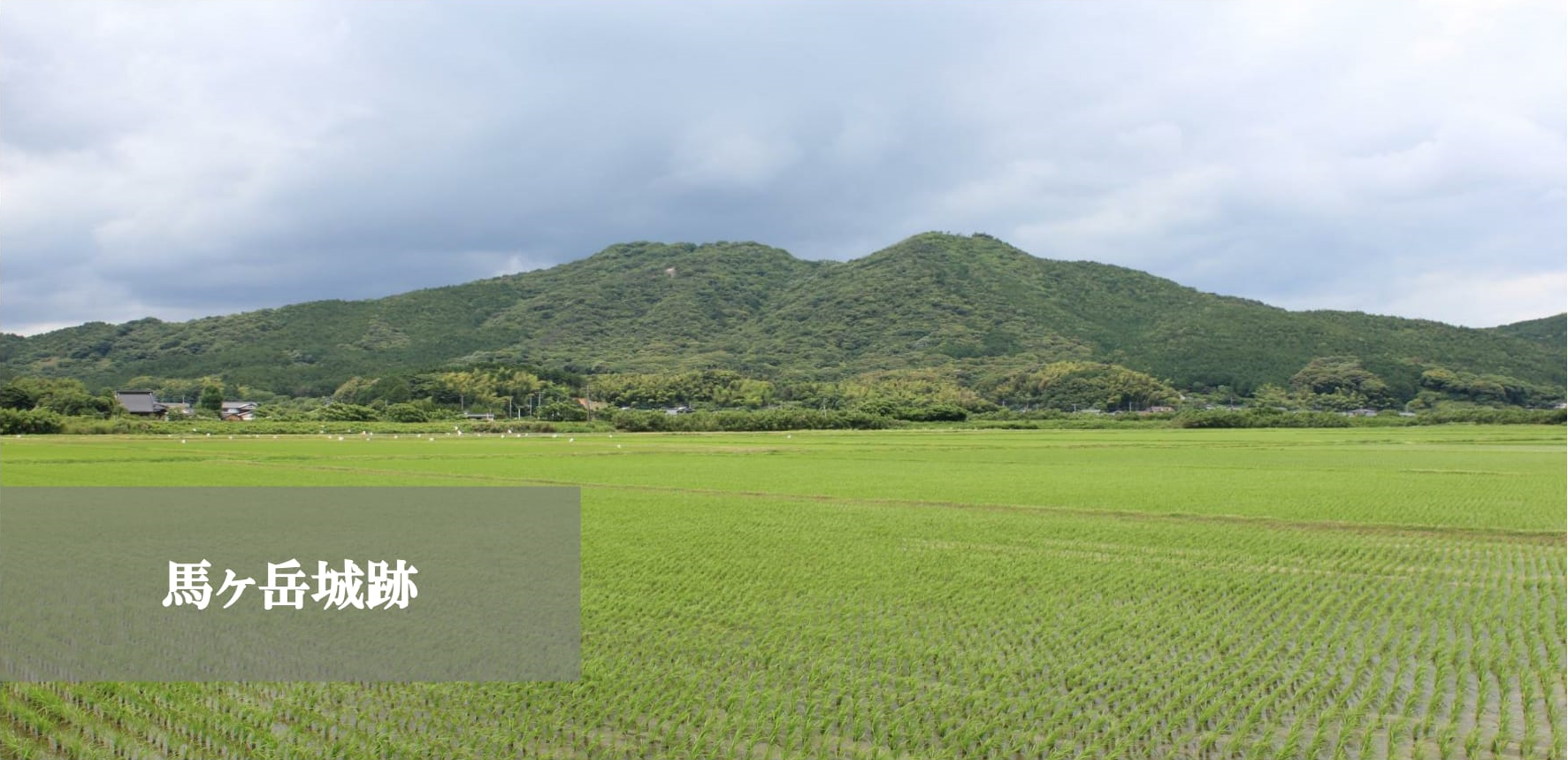 馬ヶ岳城跡