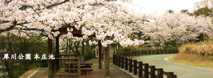 犀川公園　本庄池