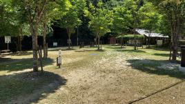 campsite2